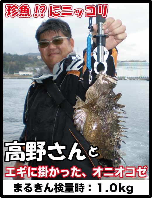 エギングで真鯛 オニオコゼが釣れた お客様より投稿写真を紹介