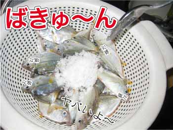 佐賀 長崎の釣具店つり具のまるきん スタッフ釣行記 ヒイラギを食べてみよう